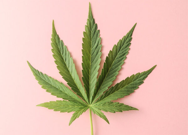 Cannabis-Group-Announcement-Image